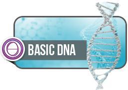 基礎DNA