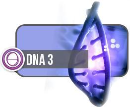 DNA3
